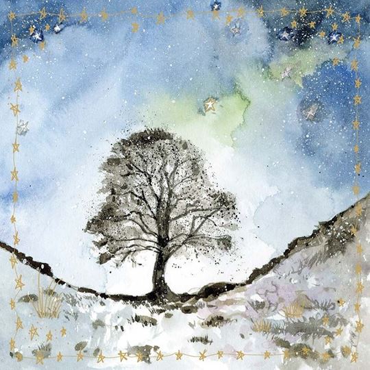 Bild von SYCAMORE GAP SPARKLE CARD