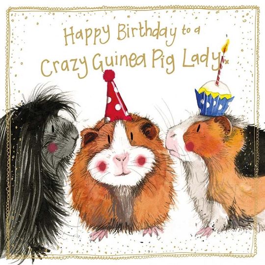 Immagine di GRAZY GUINEA PIG SPARKLE CARD