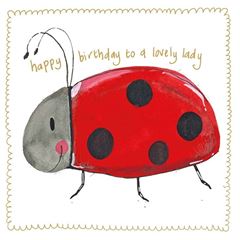 Bild von LADYBIRD