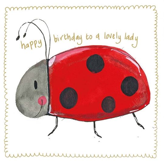 Bild von LADYBIRD