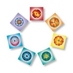 Picture of Chakra Poster, laminiert