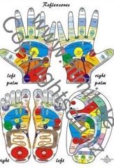 Immagine di Reflexology Chart A4 Learning chart - Englisch