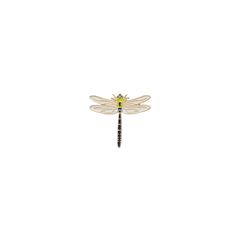 Picture of Pin Dragonfly, VE-10