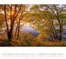Bild von Wald Kalender 2025
