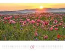 Bild von Morgenlicht Kalender 2025