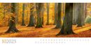 Bild von Wilde Wälder Kalender 2025