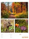 Bild von Farben der Natur - Wochenplaner Kalender 2025