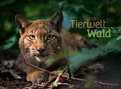 Image de Tierwelt Wald Kalender 2025