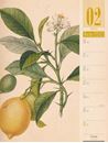 Image sur Culinarium - Küche, Kräuter, Kurioses - Vintage Wochenplaner Kalender 2025