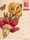 Image sur Culinarium - Küche, Kräuter, Kurioses - Vintage Wochenplaner Kalender 2025