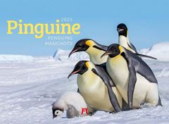 Picture of Pinguine Kalender 2025