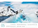 Immagine di Pinguine Kalender 2025