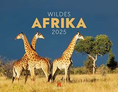 Image de Wildes Afrika Kalender 2025
