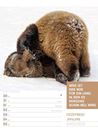 Bild von Tierisch! Sprüchekalender - Wochenplaner Kalender 2025