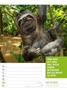 Bild von Tierisch! Sprüchekalender - Wochenplaner Kalender 2025