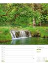 Bild von Unser Wald - Wochenplaner Kalender 2025