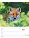Image sur Unser Wald - Wochenplaner Kalender 2025