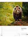 Picture of Unser Wald - Wochenplaner Kalender 2025