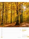 Bild von Unser Wald - Wochenplaner Kalender 2025