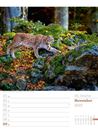 Immagine di Unser Wald - Wochenplaner Kalender 2025