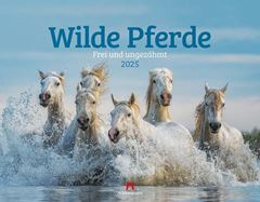 Picture of Wilde Pferde Kalender 2025