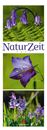 Image sur NaturZeit Triplet-Kalender 2025