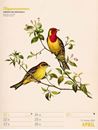 Image sur Wunderbare Vogelwelt - Vintage Wochenplaner Kalender 2025