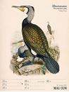 Bild von Wunderbare Vogelwelt - Vintage Wochenplaner Kalender 2025