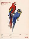 Immagine di Wunderbare Vogelwelt - Vintage Wochenplaner Kalender 2025
