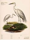 Bild von Wunderbare Vogelwelt - Vintage Wochenplaner Kalender 2025