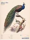 Image sur Wunderbare Vogelwelt - Vintage Wochenplaner Kalender 2025