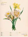Immagine di Ars Floralis - Vintage Wochenplander Kalender 2025