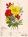 Immagine di Ars Floralis - Vintage Wochenplander Kalender 2025