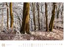 Picture of Wald - Ackermann Gallery Kalender 2025