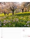 Bild von Abenteuer Deutschland - Naturparadiese Wochenplaner Kalender 2025