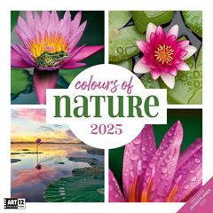 Image de Colours of Nature Kalender 2025 - 30x30