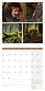 Immagine di Colours of Nature Kalender 2025 - 30x30