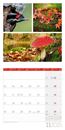 Bild von Colours of Nature Kalender 2025 - 30x30