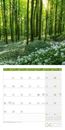 Image sur Naturwunder Deutschland Kalender 2025 - 30x30