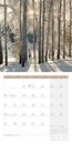 Bild von Zauber des Waldes Kalender 2025 - 30x30