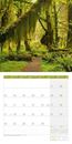 Immagine di Zauber des Waldes Kalender 2025 - 30x30