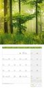 Immagine di Zauber des Waldes Kalender 2025 - 30x30