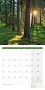 Image sur Zauber des Waldes Kalender 2025 - 30x30