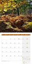 Bild von Zauber des Waldes Kalender 2025 - 30x30