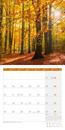 Picture of Zauber des Waldes Kalender 2025 - 30x30