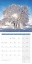 Bild von Bäume Kalender 2025 - 30x30