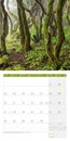 Bild von Bäume Kalender 2025 - 30x30