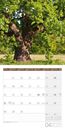 Immagine di Bäume Kalender 2025 - 30x30