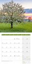 Immagine di Bäume Kalender 2025 - 30x30