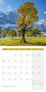 Image sur Bäume Kalender 2025 - 30x30